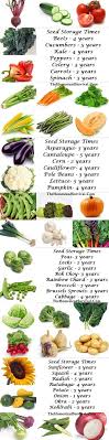 Seed Storage Times And Viability Seed Storage Veggie Garden Edible Garden