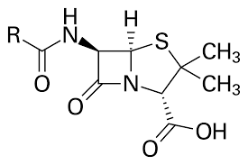 Penicillin Wikipedia