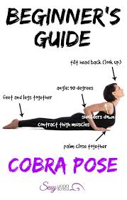 5 Beginner Yoga Poses Cobra Pose Yoga Yoga Asanas Cool Yoga Poses
