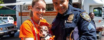 Addressing And Preventing Animal Cruelty In Nyc | New York City | Aspca