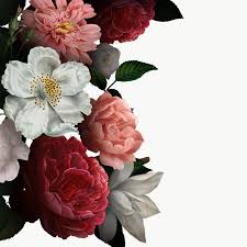 Beautiful Hand Drawn Colorful Roses Transparent Png Free Image By Rawpixel Com Digital Flowers Flower Background Wallpaper Colorful Roses