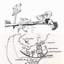 Redpen Blackpen Auf Twitter This Is So Great I Love Shel Silverstein S Poems And Accompanying Art Work I Was Just Thinking About Starting To Pair Some Silverstein Esque Poems With Some Of My Cartoons