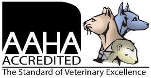 Maybe you would like to learn more about one of these? Adoption Rescue West End Animal Hospital Gainesville Jonesville Newberry Trenton Alachua Veterinary Clinic