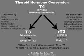 Which Is Better Synthroid Or Armour Thyroid Medication Hypothyroid Mom Thyroid Symptoms Thyroid Medication Hypothyroidism
