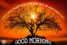 I have made this post with some mix quotes and status and gifs, however if you wish to see a separate post for each language please write. Good Morning Gif Images Download Good Morning Gif Images Good Morning Images Good Morning Gif