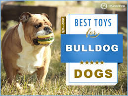 Explore a wide range of the best puppy puzzle on aliexpress to find one that suits you! 10 Best Dog Toys For Bulldogs In 2021