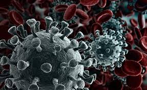 Rien n'interdit aux régions et aux bourgmestres de se montrer plus stricts. Difficultes Suite Au Coronavirus Inasti