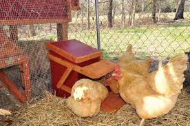 It's the easiest diy automatic chicken feeder. 2