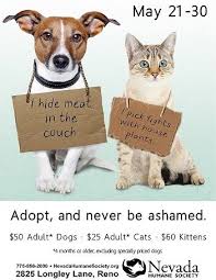 Pin By Sherrie Kling On Shelter Ideas Animal Shaming Cat Shelter Pets