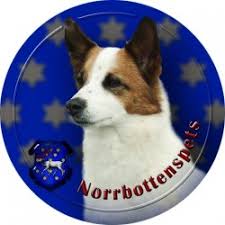 About nordic hunting dog breeds: Warenkorb 0 Es Gibt Keine Artikel Mehr In Ihrem Warenkorb 0 Artikel 0 00 Versand Kostenlos Gesamt Inkl Mwst 0 00 Kaufen 3d Handyaufkleber 2 5 Cm Pfoten A B C D E F G H I J K L M N P R S T V W X Y Katze Reptillien Vogel 3d Herzaufkleber 15