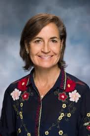 Divisions of Surgery