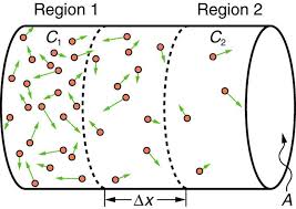 Molecular Transport Phenomena Diffusion Osmosis And Related Processes Physics