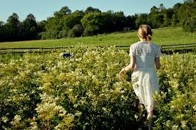 The slightly distressed warm pine finish. Talking With Natural Beauty Queen Tata Harper Sarasota Magazine