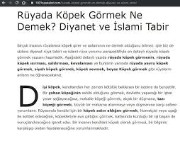 Ruyada Kopek Gormek