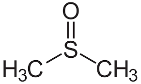 The dmso handbook for doctors. Dimethylsulfoxid Wikipedia