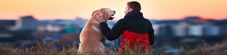 The higher a pet's rarity is, the more tasks you have to complete in order for them to level up to the next growth stage. Victoria County Public Health Department Animal Control