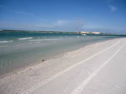Pin On Caladesi Honeymoon Islands