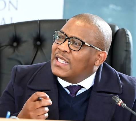 UPDATE | Madlanga commissioner Sandile Khumalo threatened and intimidated | News24