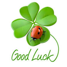 Loterie Reves De Green Card Porte Bonheur Bonne Chance Citations De Chance
