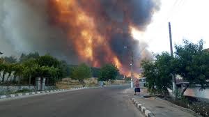 Incident grav, la penitenciarul rahova, din capitală. Focul La GraniÅ£ele Romaniei Incendiile Din Bulgaria Au Mistuit Deja Case Si Zeci De Hectare De PÄƒdure Stiri Din Surse 100 Live News