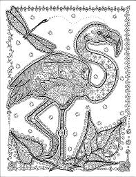Check spelling or type a new query. 49 Flamingos Ideas Flamingo Coloring Page Coloring Pages Animal Coloring Pages