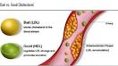 Hdl cholesterol