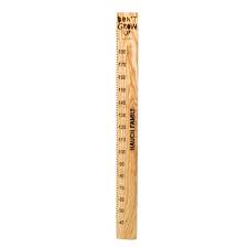 don t grow up peter pan height ruler