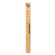 Don T Grow Up Peter Pan Height Ruler