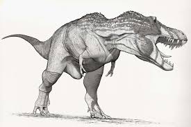 Draw Dinovember Day 30 Tyrannosaurus Rex Raul Ramos Dinosaur Art Dinosaur Drawing Dinosaur Sketch