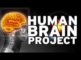 Le Human Brain Project, prémice de l'immortalité ? Images?q=tbn:ANd9GcRorLiyjyvDoSwb4l7gd9jkaa0s0Z-8d86KgXbgjCgLA0_LkgxM