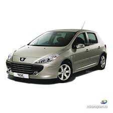 Image result for Gris Manitoba 2014 Peugeot