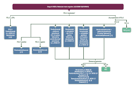 Highlights of the st gallen international expert consensus on the primary therapy of early breast cancer 2013. Clinical Practice Living Guidelines Metastatic Non Small Cell Lung Cancer Esmo
