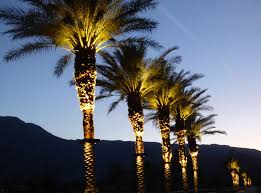 Stella Bradley Lighting