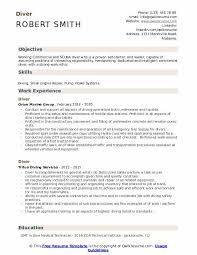 Prepare yourself ready for full time and work from home jobs. Diver Resume Samples Qwikresume
