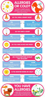Allergies Or Cold Allergy Guide Benadryl