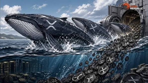 XRP Crypto Whales Move 7B Tokens in Historic Exchange Outflow ...