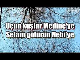 Ucun Kuslar Medineye Selam Soyleyin Nebiye Tubazy Mp3 Indir Mobil Indir