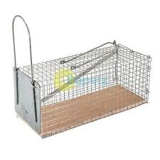 Pest stop 14 wire rat cage. Mouse Cage Trap Reusable 250 X 90 X 90mm Pest Control Catcher Rodent Trap Humane Eur 10 08 Picclick Fr