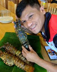 DAMPA SA COGEO