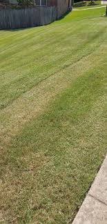 We've vetted over a 1,000 lawn care providers across the usa and in your area. Lawnstarter Reviews 1 132 Reviews Of Lawnstarter Com Sitejabber