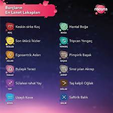 Burclara Olumsuz Lakaplar Takacak Olsan Sen Ne Derdin Burclar Ikizler Burcu Ilham Verici Alintilar