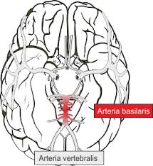 Neuropsychologischer Ratgeber