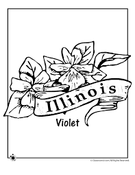 Illinois coloring pages for kids online. Illinois State Flower Coloring Page Woo Jr Kids Activities