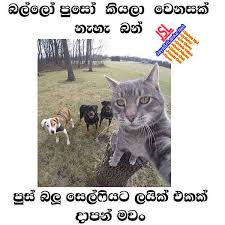 Check spelling or type a new query. Sinhala Song 2021 Music Used