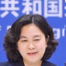 Model Professional 💪