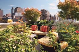 Look Up The Coolest Rooftop Gardens In Nyc Urban Gardening Balcony Urban Garden Design Small Urban Garden