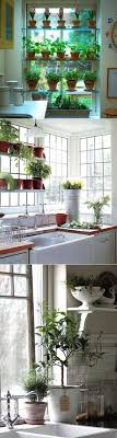 60+ window shelf for plants ideas