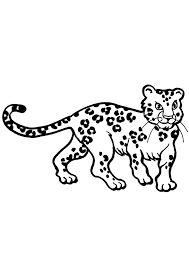 Search through 623,989 free printable colorings at getcolorings. Coloring Pages Printable Cheetah Coloring Pages