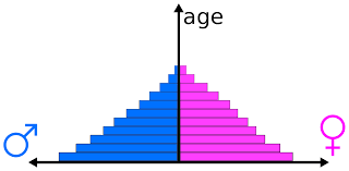 population pyramid wikipedia