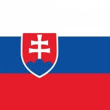 Все турниры чемпионат мира чемпионат европы. Slovakiya Rossiya Futbol Rbk Sport